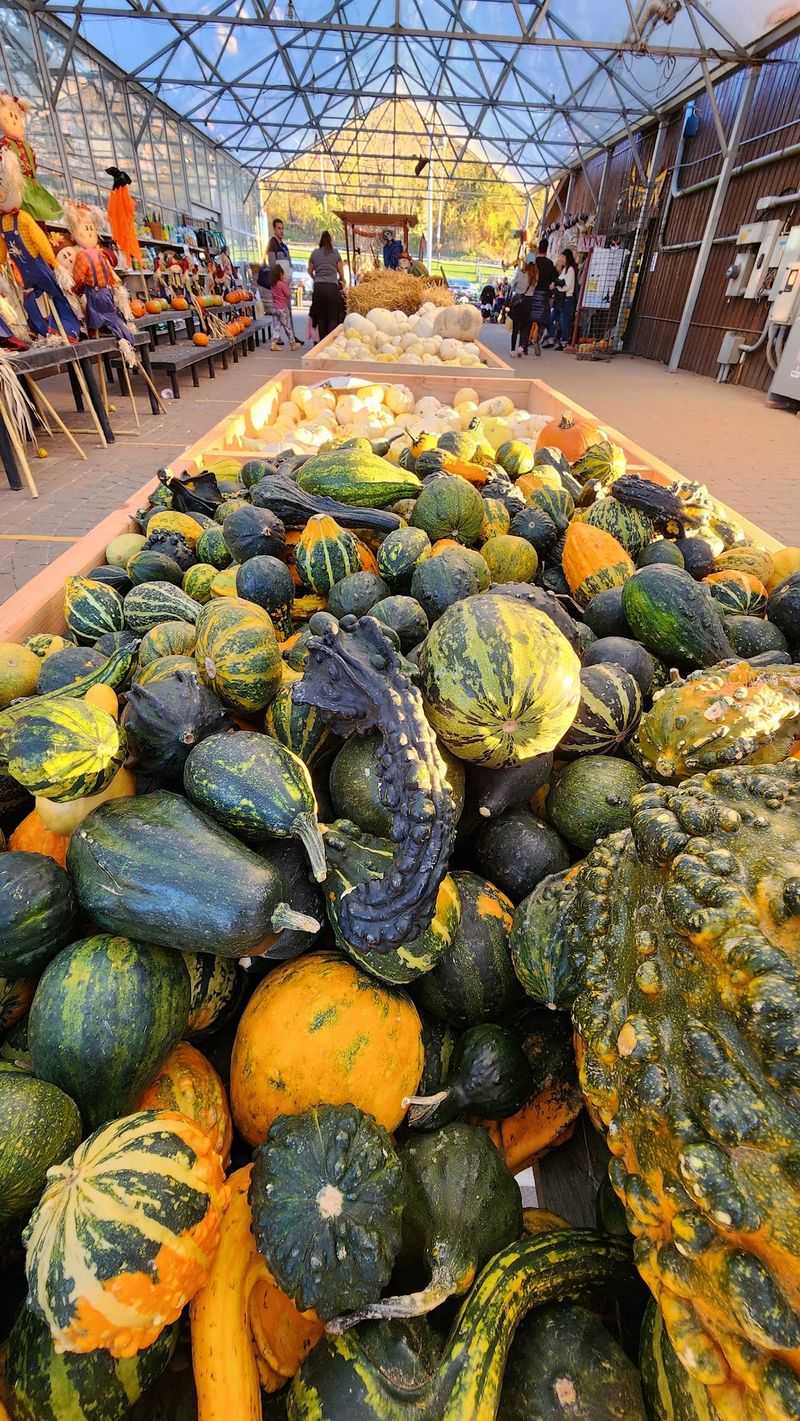 The Garden Center That Keeps Growing Year Round