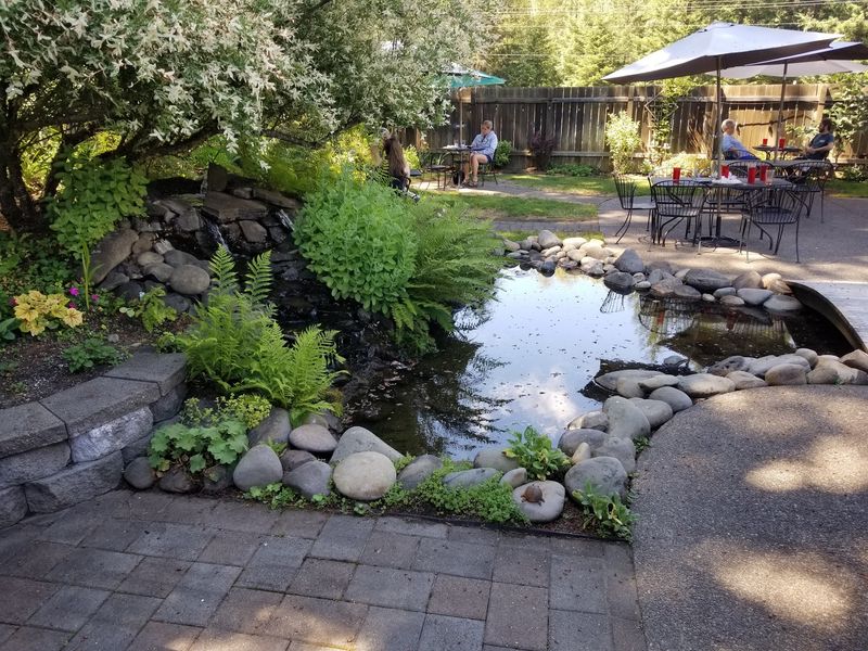 The Garden Patio With a Koi Pond Nobody Warns You About