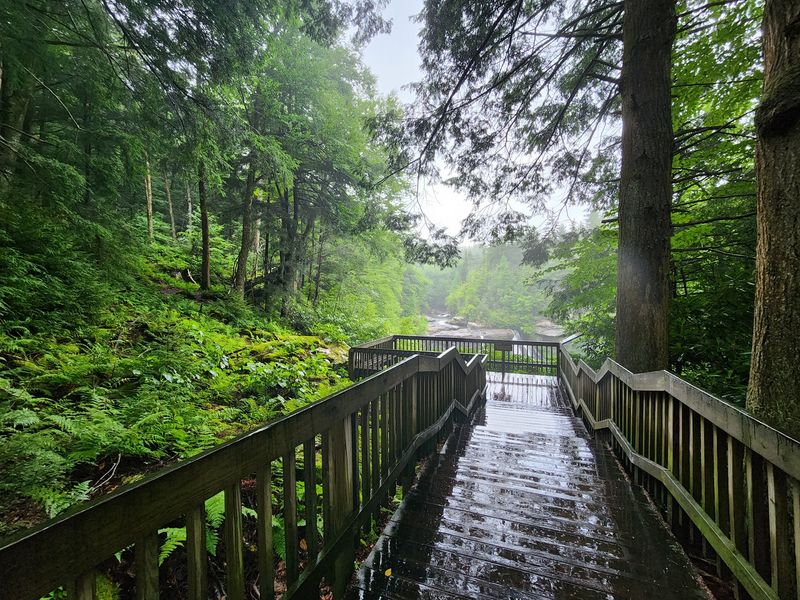 The Gentle Trail for Everyone The Gentle Trail for Everyone
