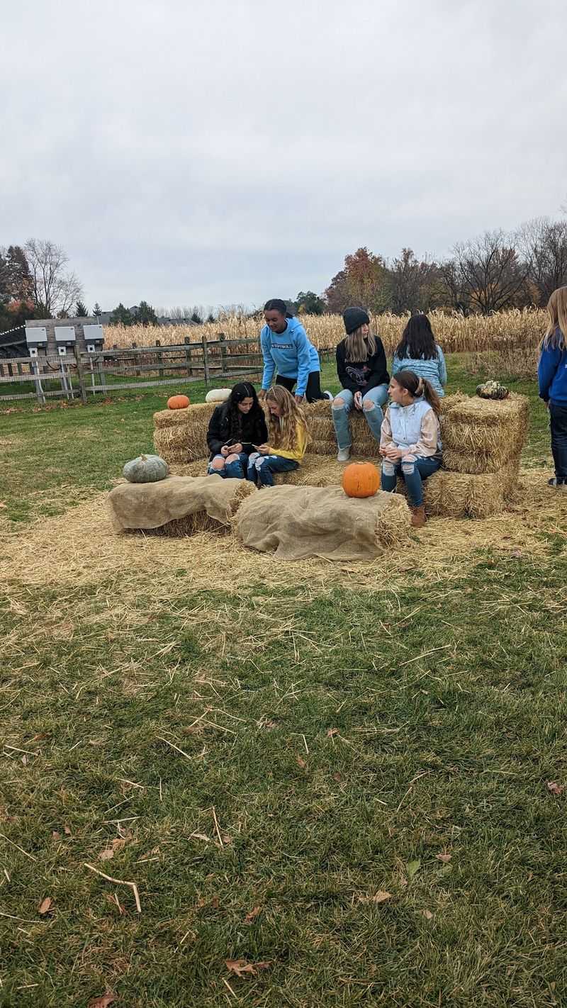 The Gift Shop and Fall Corn Mazes