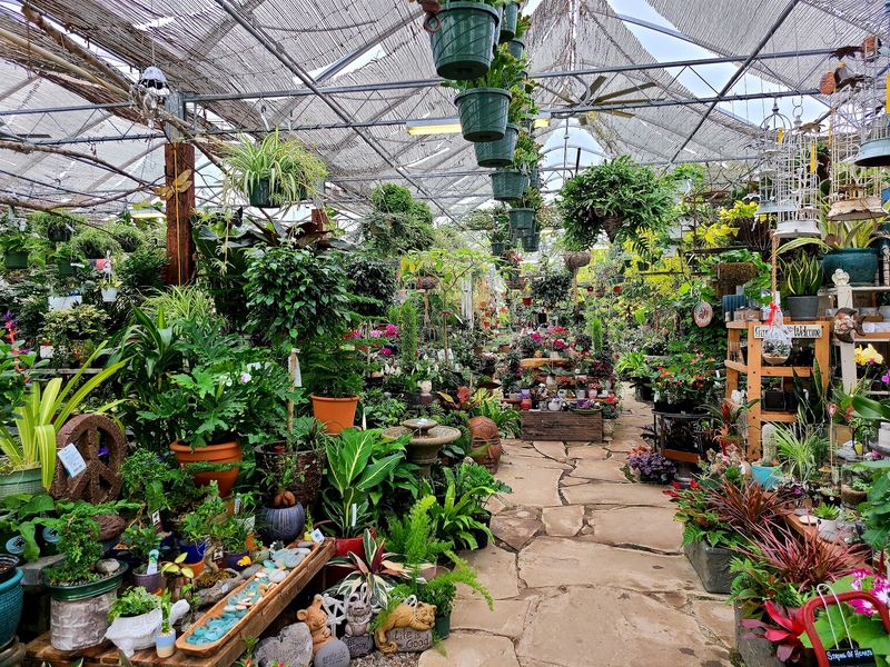 The Greenhouse That Never Goes Dormant