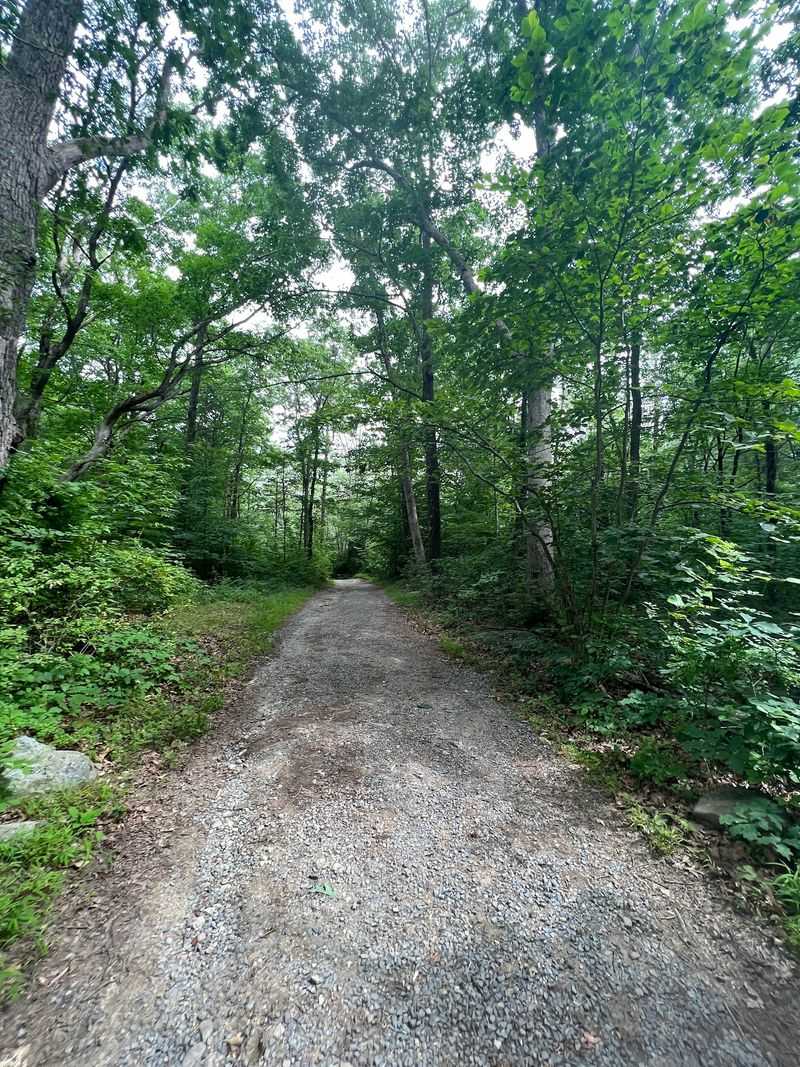 The Half-Mile Climb Through The Woods The Half-Mile Climb Through The Woods