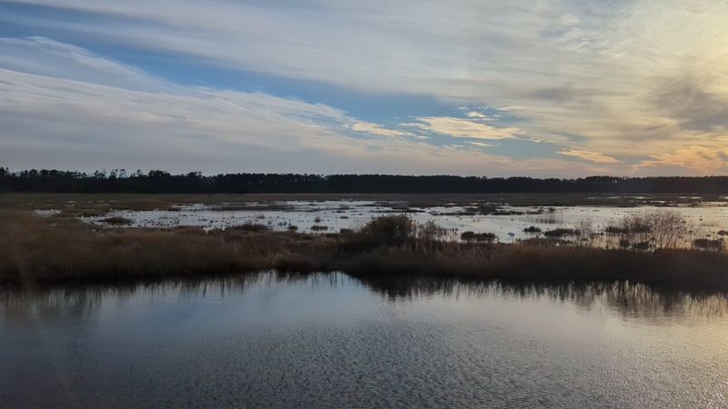 The Highway 94 Causeway Crossing