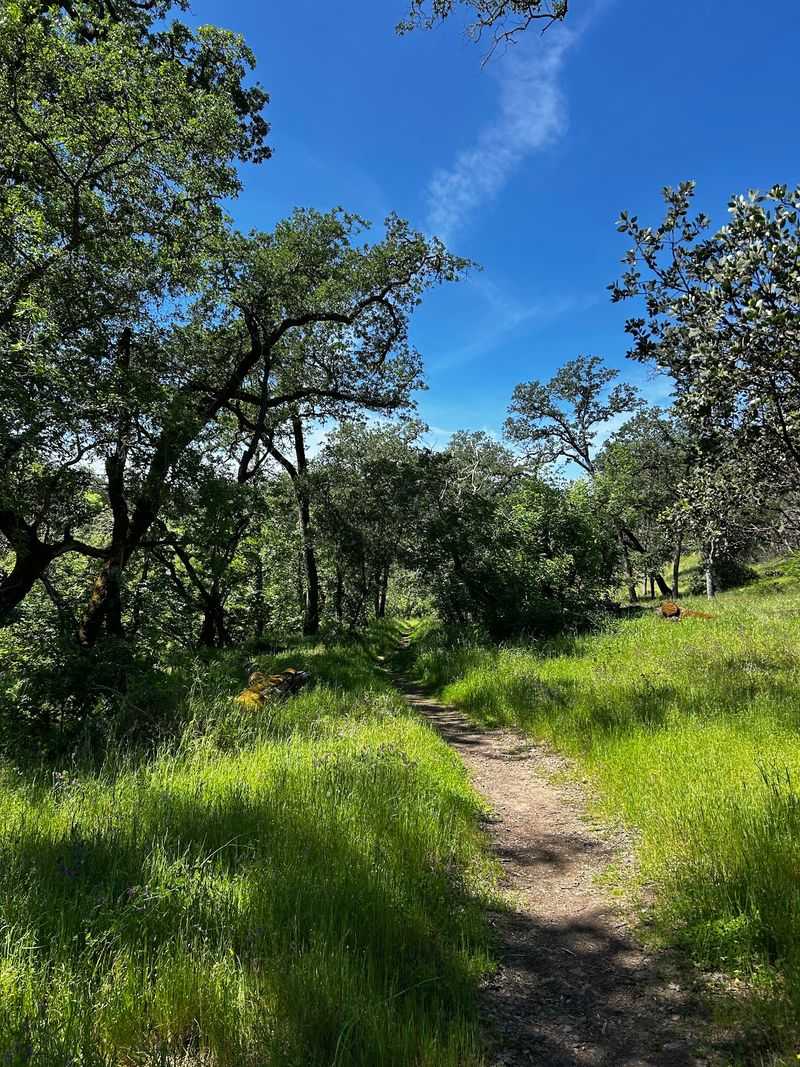 The History Trail to Bothe-Napa Valley State Park The History Trail to Bothe-Napa Valley State Park