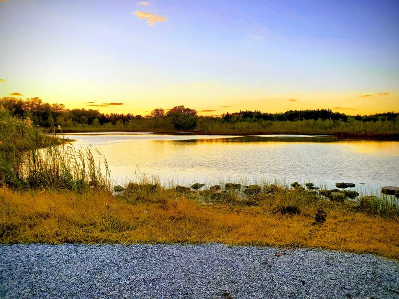The Hundred-Acre Lake Hiding At The End Of The Path