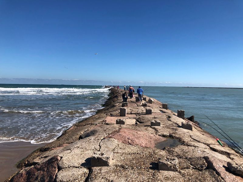 The Jetties, Where Dolphins Steal The Show The Jetties, Where Dolphins Steal The Show