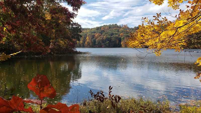 The Lake Slows Everything Down The Lake Slows Everything Down