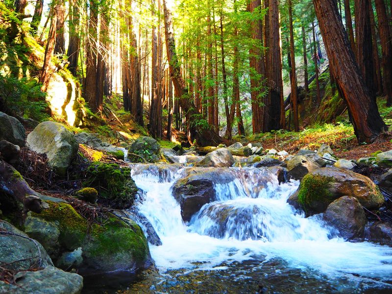 The Limekiln Trail Does the Hard Work for You