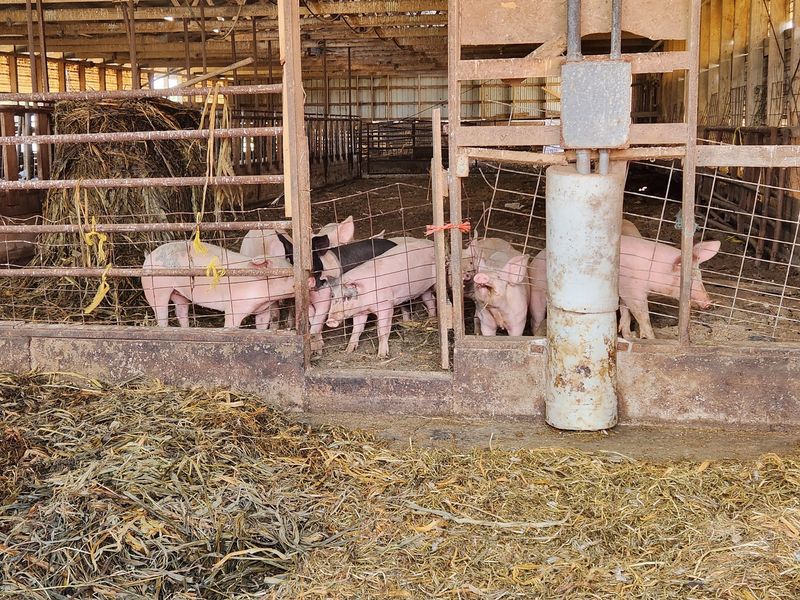 The Little On-Farm Store That Punches Above Its Size