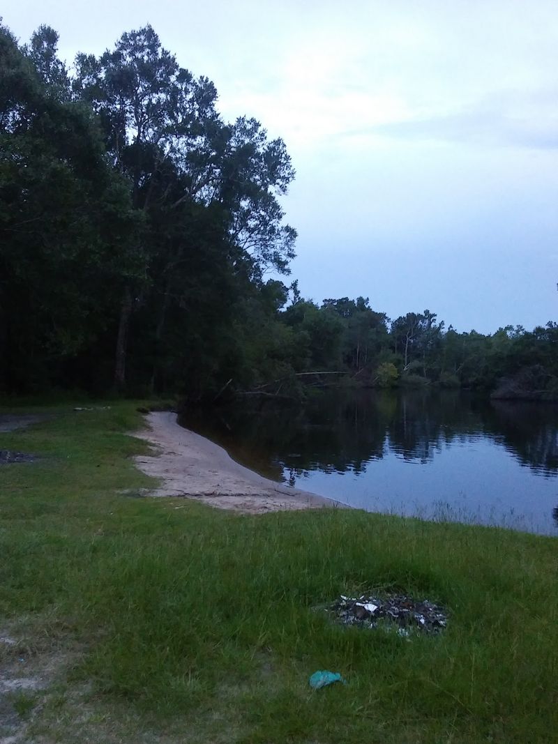 The Little Pee Dee River, A Blackwater Beauty