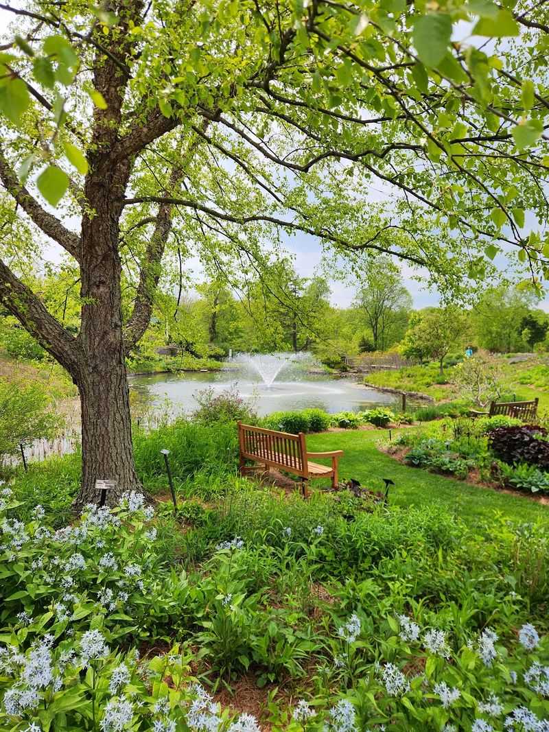 The Living Memorial to Elizabeth Holden