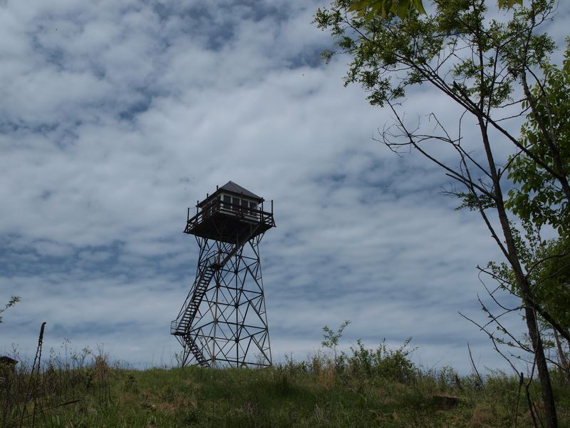 The Lonely Life Of A Fire Lookout
