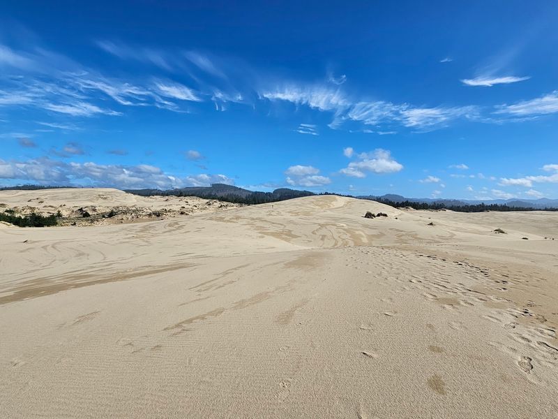 The Long, Sandy Trek to the Pacific The Long, Sandy Trek to the Pacific