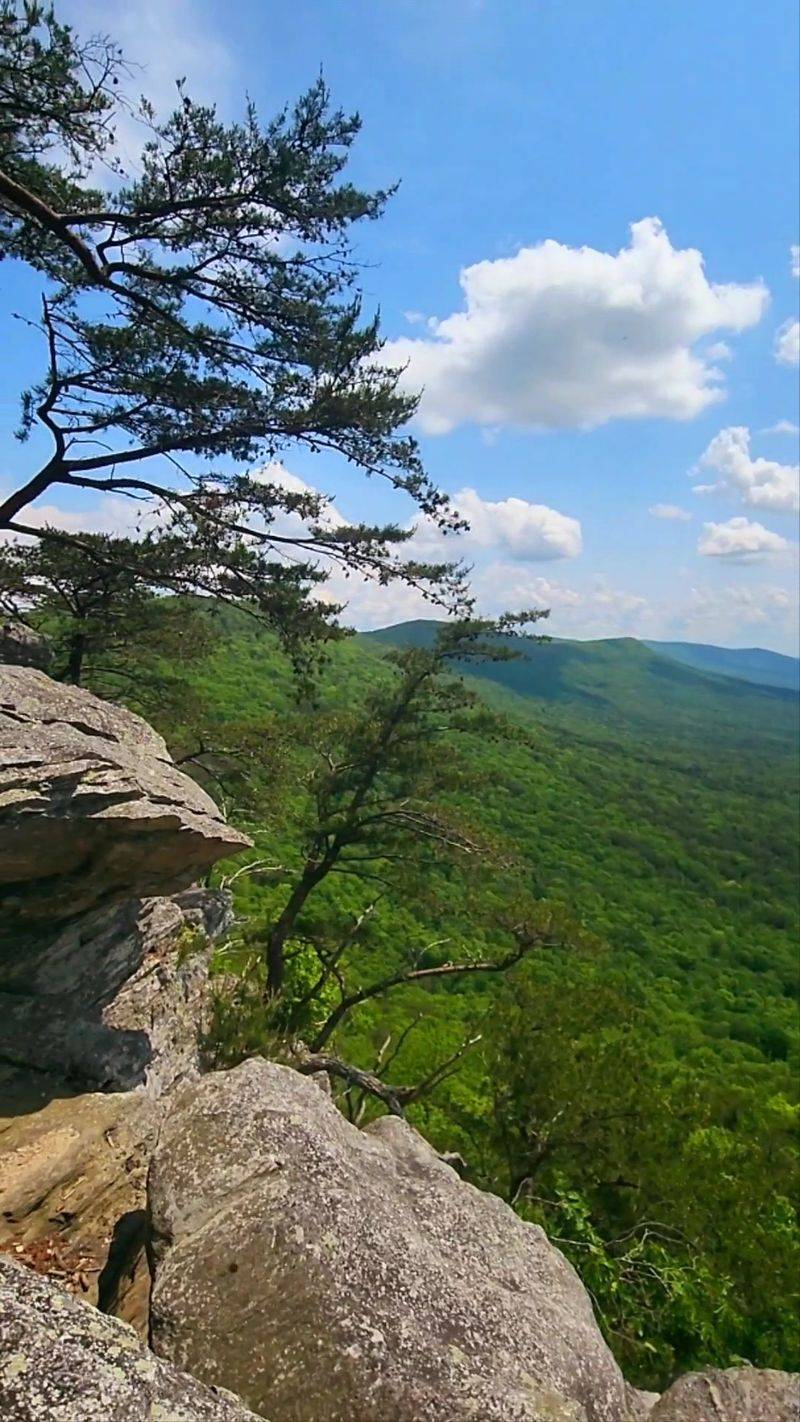 The Moment the Trees Part at Bald Rock Overlook The Moment the Trees Part at Bald Rock Overlook