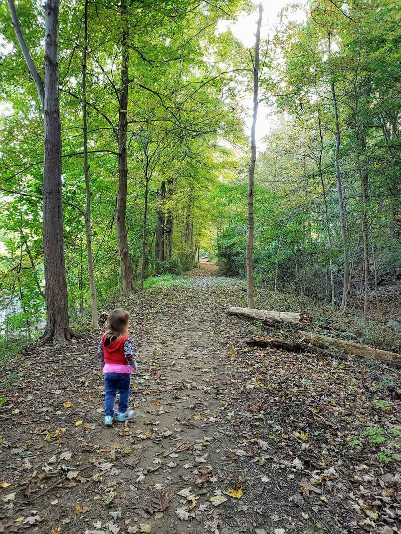 The Morris Canal Prism That Still Shapes The Ground