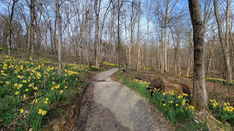 The Nature PlayScape Built for Little Explorers