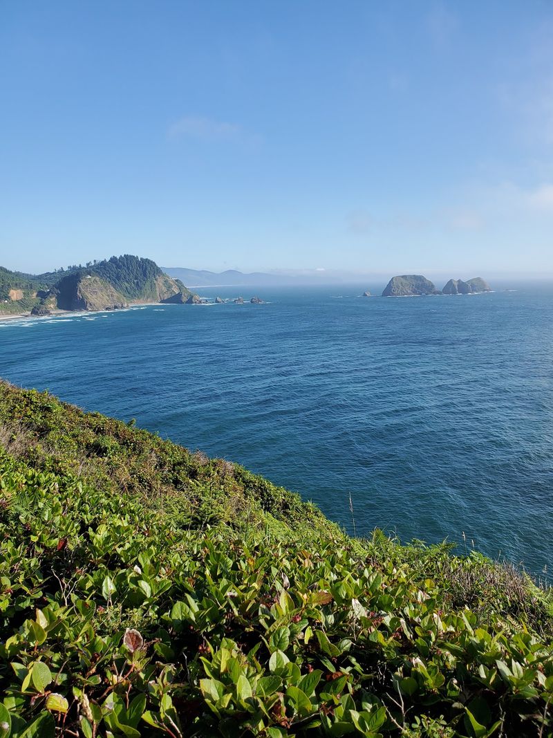 The Ocean Overlook Hiding Right Behind It
