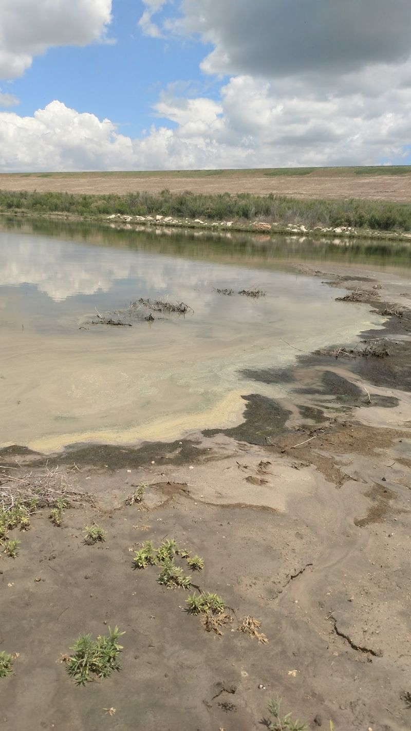 The Ogallala Aquifer Quietly Rewrote The Whole Plan The Ogallala Aquifer Quietly Rewrote The Whole Plan