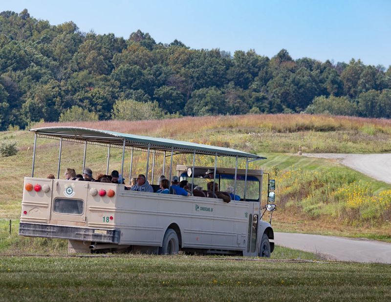 The Open-Air Safari Bus Ride The Open-Air Safari Bus Ride