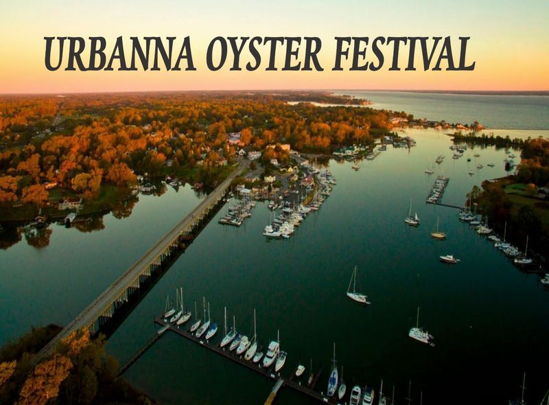 The Oyster Festival That Takes Over Everything