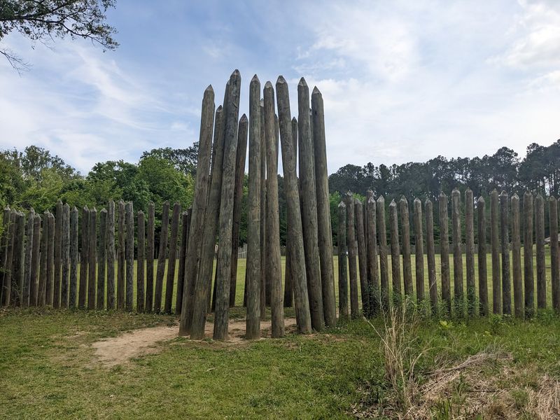 The Palisade Wall and Why It Matters The Palisade Wall and Why It Matters