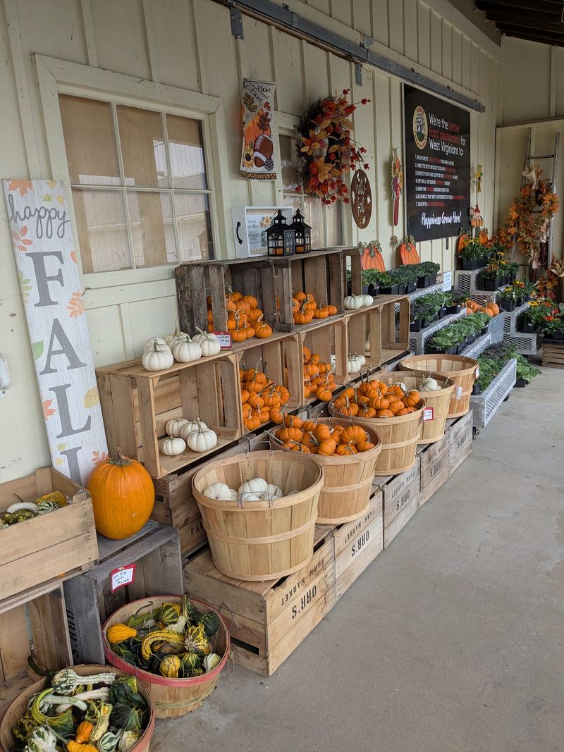 The Pumpkin Patch That Turns Fall Into Tradition