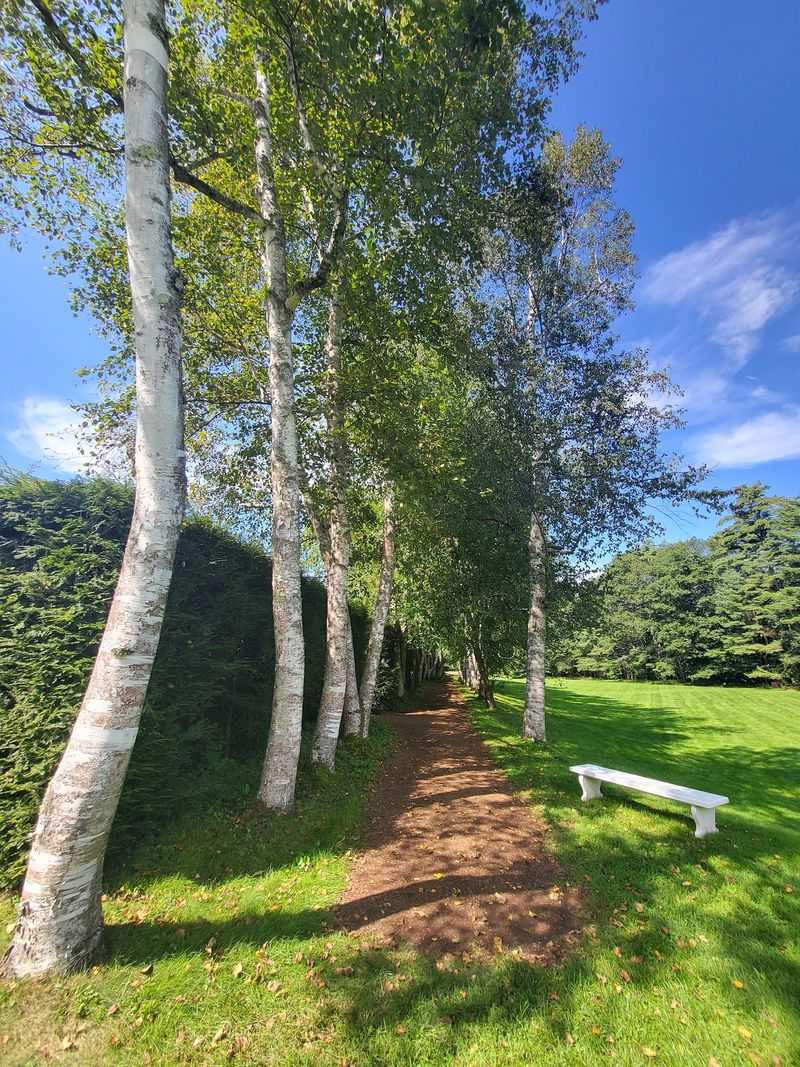 The Ravine Trail And Its Cool Green Shade The Ravine Trail And Its Cool Green Shade