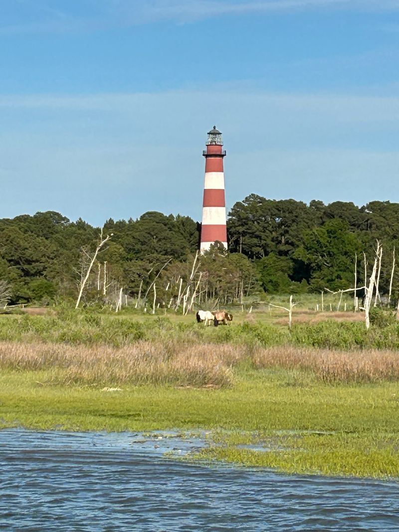 The Red And White Assateague Lighthouse