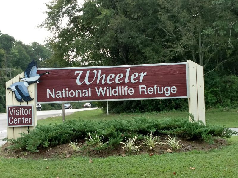The Refuge That Rewrote the Rulebook in 1938
