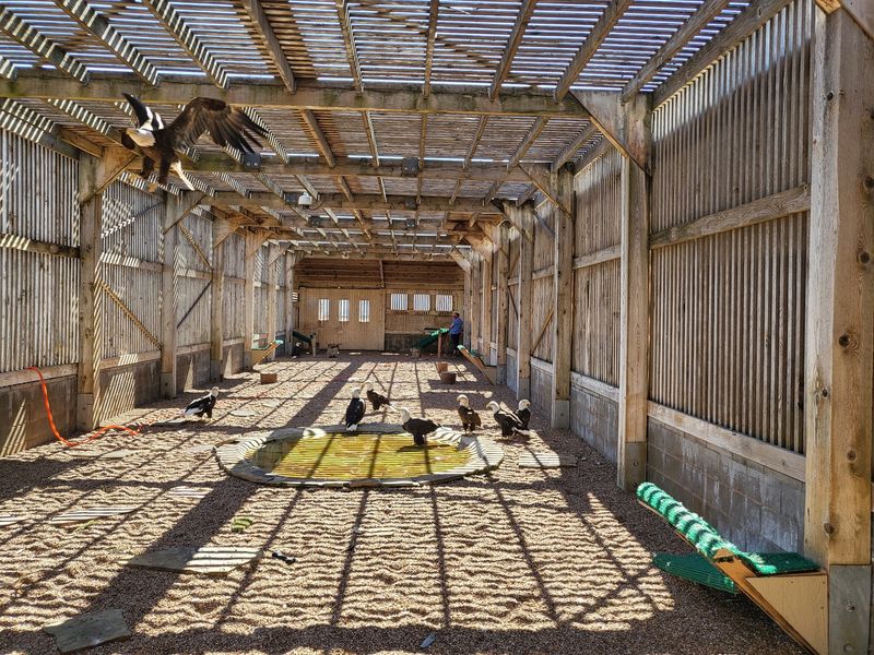 The Rehabilitation Work Happening Behind The Scenes The Rehabilitation Work Happening Behind The Scenes
