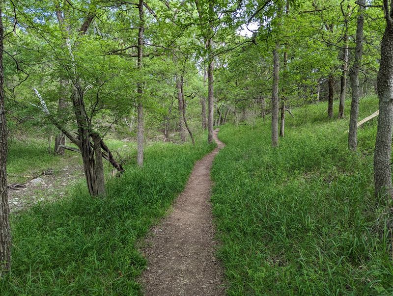 The Ripple Effect Across Almost 90 Texas Parks