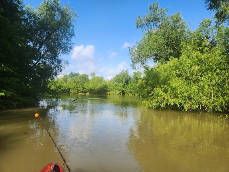 The River That Shapes All Of It