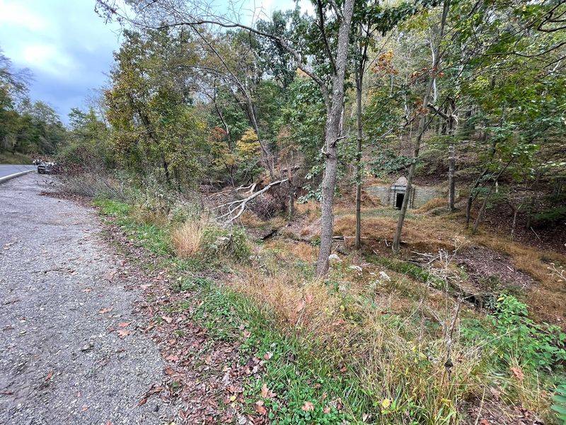 The Roadside Reveal Along Kummer Road