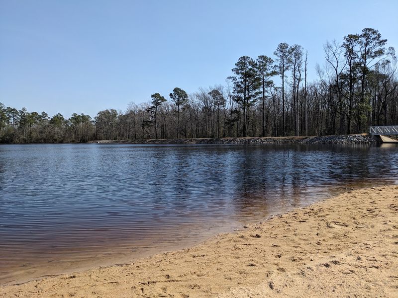 The Sand Rim That Remembers an Ancient Sea