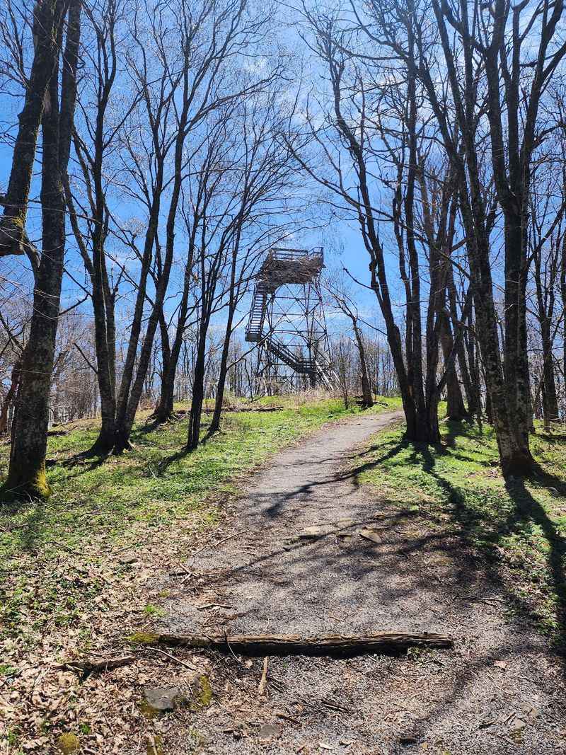 The Short Walk From The Parking Area