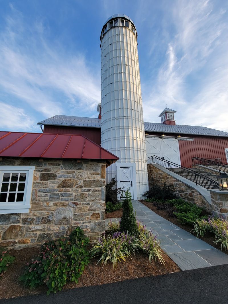 The Silo Tower, Petting Zoo, and Buggy Rides