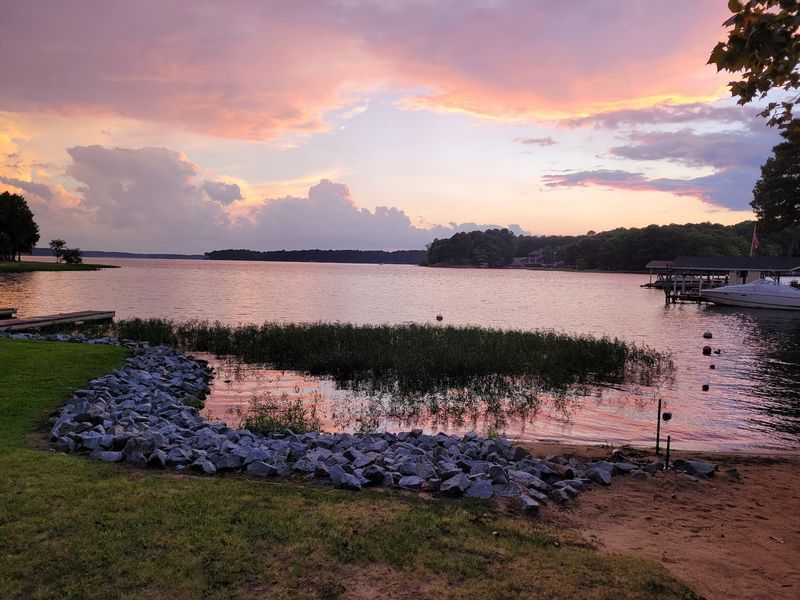 The Snake Species Taking Over the Shoreline