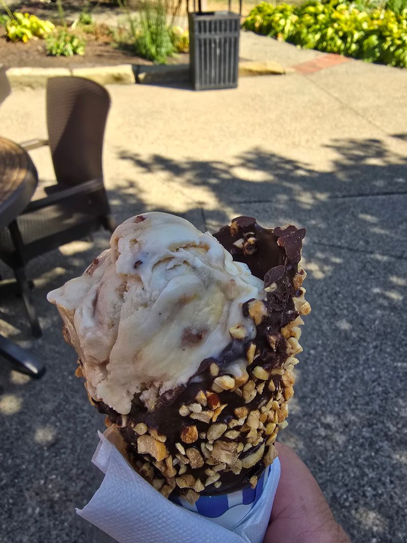 The Star of the Show: Rich, Creamy Ice Cream