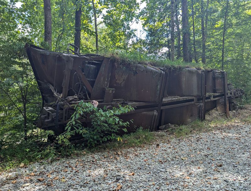 The Story Of The Buffalo Creek And Gauley Railroad