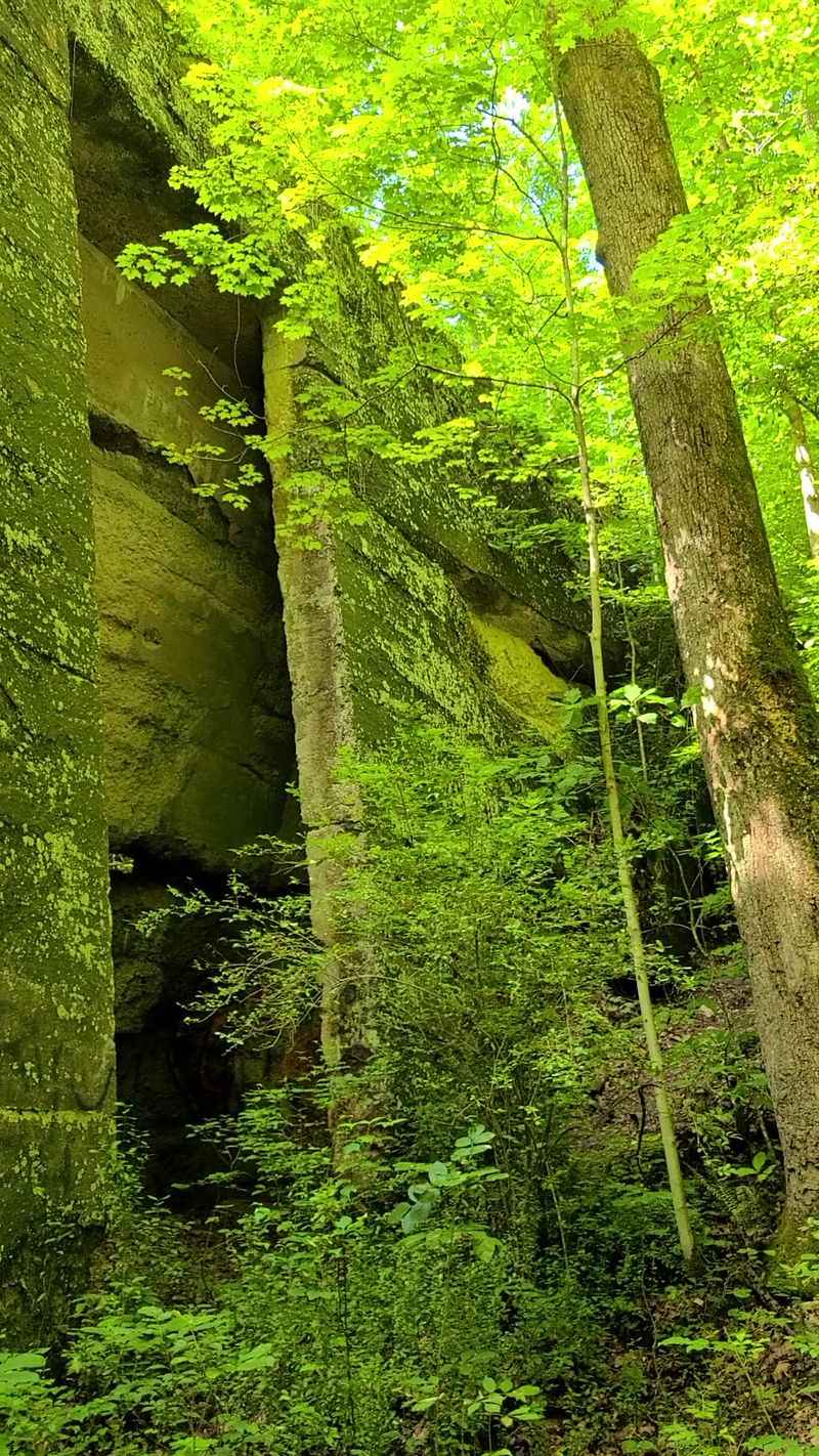 The Story of the Forgotten Bens Run Dam