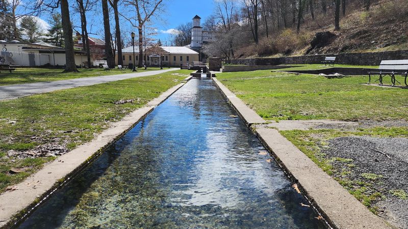 The Swimming Pool and Warm-Weather Fun