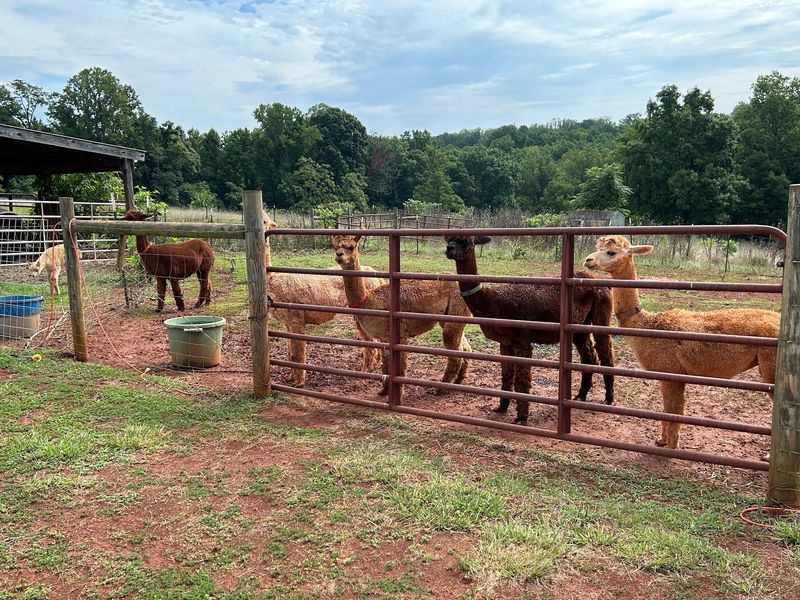 The Tour Is Educational, Not A Petting Zoo The Tour Is Educational, Not A Petting Zoo
