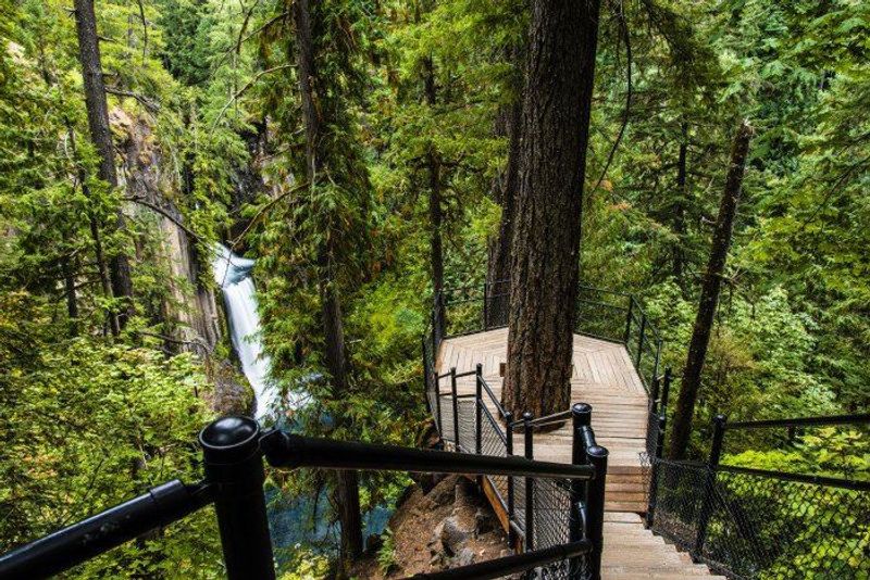 The Viewing Platform And What It Does Not Show
