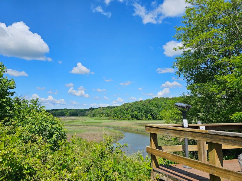 The Visitor Center and What It Teaches You Before You Hit the Trail