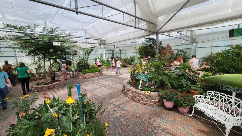 The Warm, Humid World Inside