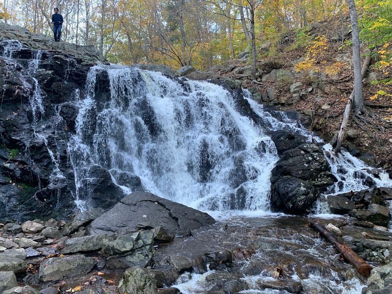 The Waterfall Below the Dam