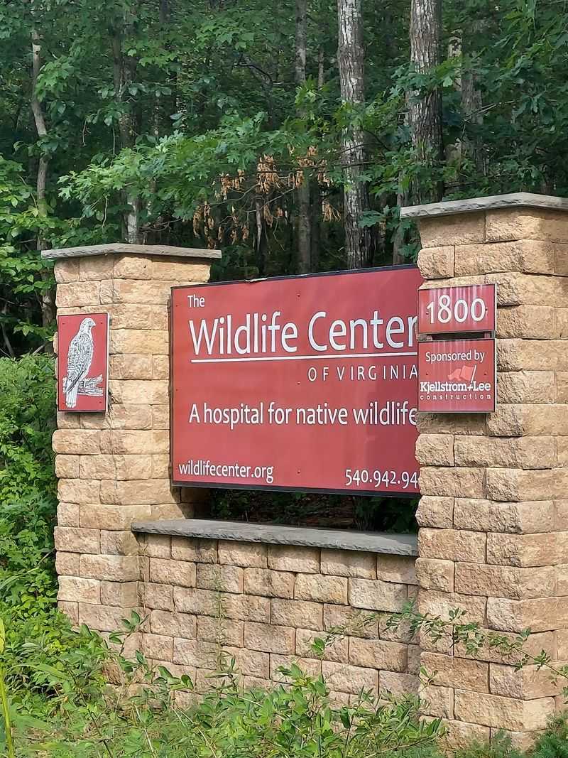 The Wildlife Center of Virginia The Wildlife Center of Virginia