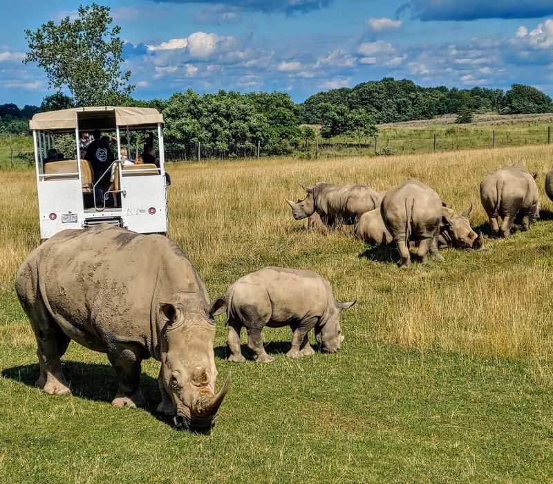 The Wildside Tour for Thrill-Seekers The Wildside Tour for Thrill-Seekers