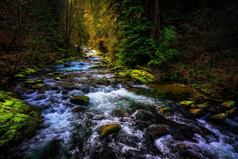 The Winding Drive Along Sweet Creek Road