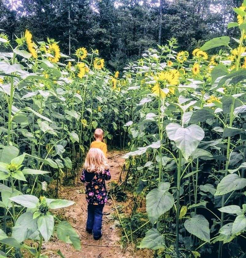 The Winding Road That Tests Your Nerves The Winding Road That Tests Your Nerves